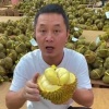 云南果品有限责任公司的一亩田店铺