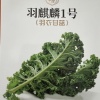 朱宁宁的一亩田店铺