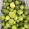 田田优品水果供应链的一亩田店铺