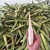 周瑜的一亩田店铺