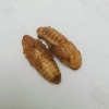 远阳商贸有限公司的一亩田店铺