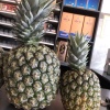 恒鸿商行的一亩田店铺