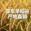 绿菜场果蔬代办的一亩田店铺