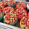 常东旭的一亩田店铺