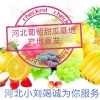 刘忠波的一亩田店铺