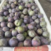 唐俊杰的一亩田店铺