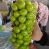 张彩侠的一亩田店铺