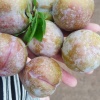 黄光梅的一亩田店铺