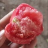 辛依晨的一亩田店铺