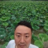 实华农庄的一亩田店铺