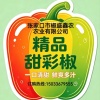 劣登海的一亩田店铺