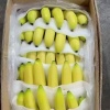 杨小柒的一亩田店铺