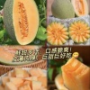 茗屿果业的一亩田店铺
