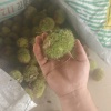 李宗品的一亩田店铺
