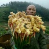 沂水县文雨果蔬购销中心的一亩田店铺