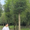 杨亮的一亩田店铺