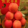 杨宝红的一亩田店铺
