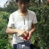 狮玛德复合肥的一亩田店铺