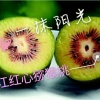 杨艳双的一亩田店铺