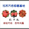 丰源草莓种植专业合作社的一亩田店铺