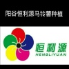 阳谷恒利源马铃薯合作社的一亩田店铺