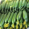 青岛平度市窦有菜瓜果蔬菜专业合作社的一亩田店铺
