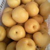 冯守蕾的一亩田店铺