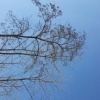 滕州市名扬马铃薯种植专业合作社的一亩田店铺