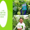 山东史特丹生物科技有限公司的一亩田店铺