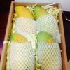 龙亚云的一亩田店铺