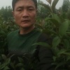 沙洋县马良苗苗乐苗木合作社的一亩田店铺