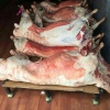 耿晓波的一亩田店铺