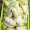 刘永华的一亩田店铺
