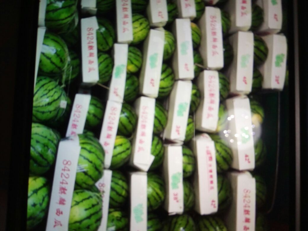 湖南岳阳市君山区8424西瓜 6斤打底 9成熟 2茬