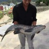 李文龙的一亩田店铺