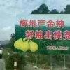 世丰家庭农场的一亩田店铺