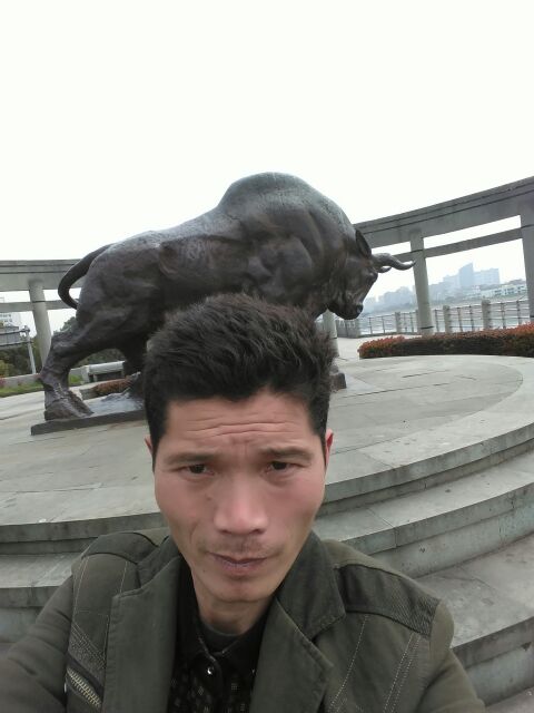 绿宝石毛豆江西景德镇乐平市_批发_供应-一亩