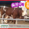 李秀井的一亩田店铺