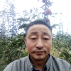 千阳县花丰果品专业合作社的一亩田店铺
