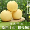 文水县羽惠果品合作社的一亩田店铺