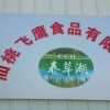 仙桃飞鹰食品有限公司的一亩田店铺