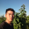 封丘县小辛庄树莓合作社的一亩田店铺