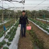麦文钦的一亩田店铺