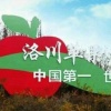 洛川苹果销售公司的一亩田店铺