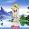 亳州市谯城区师林家庭农场的一亩田店铺
