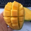 傅万泼的一亩田店铺