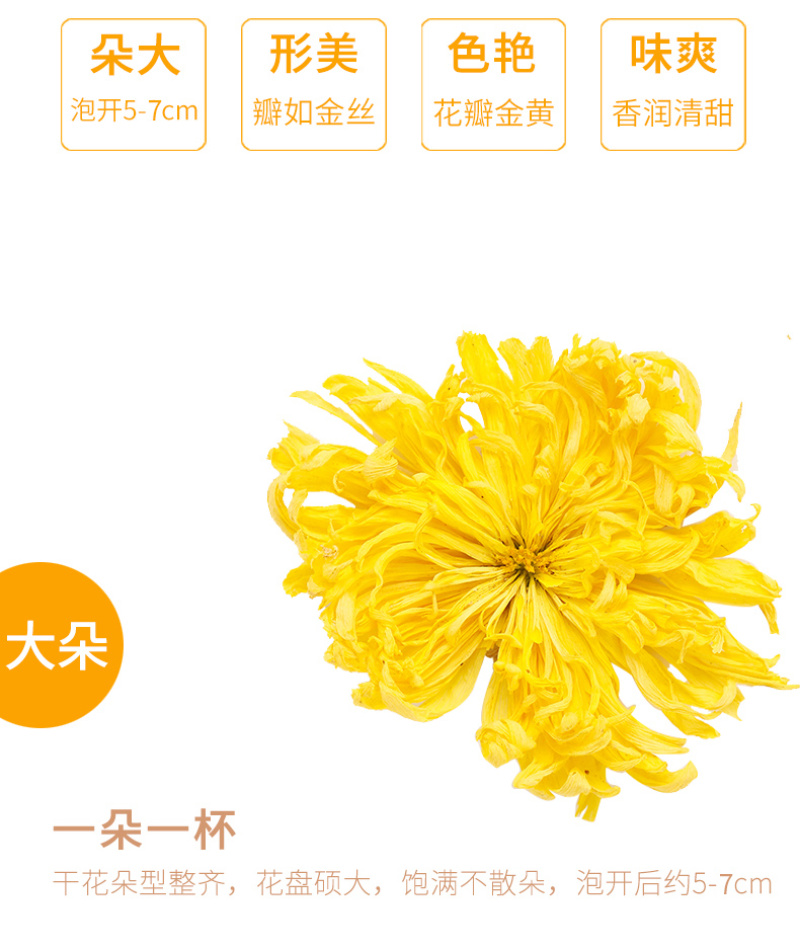 皇菊茶金丝皇菊5罐包邮直供超市