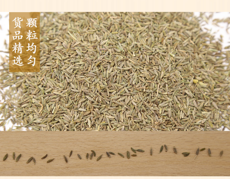 甘肃孜然精品样品2斤/件