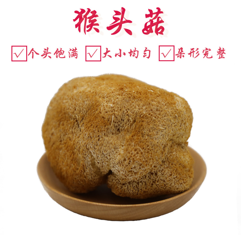 猴头菇特级剪蒂10-13cm