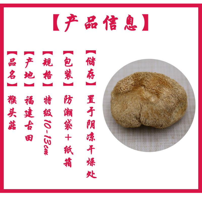 猴头菇特级剪蒂10-13cm
